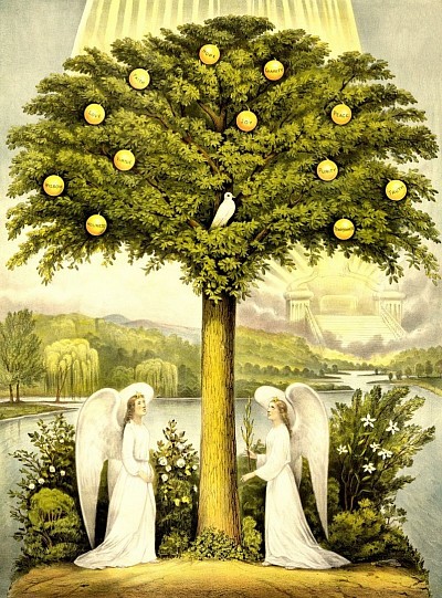 Tree of Life